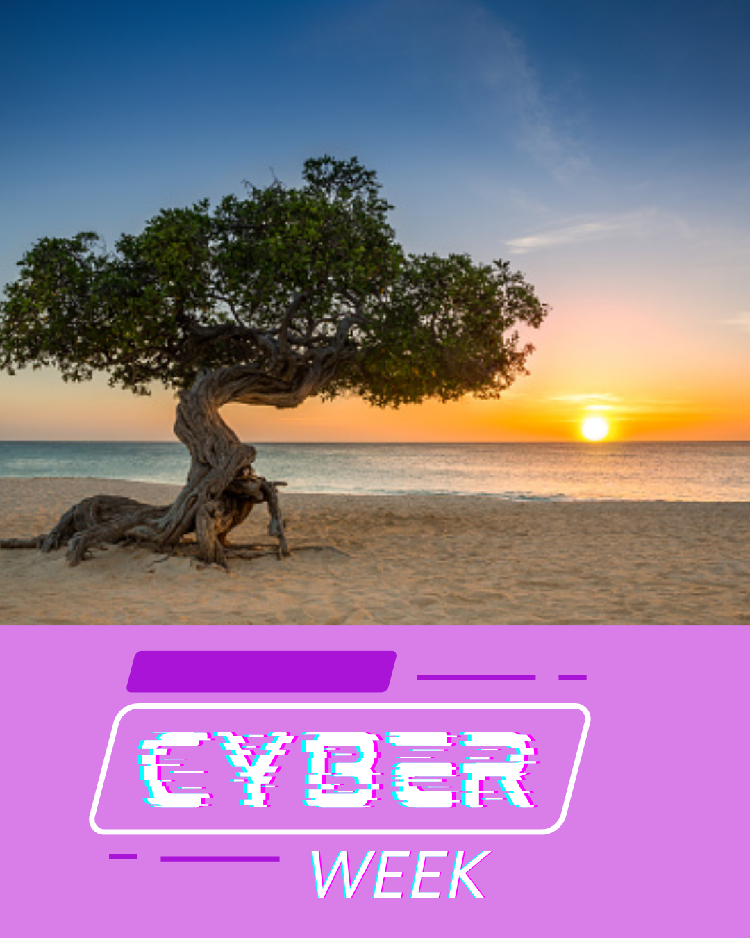 Aruba - Cyber Week 